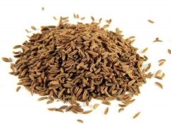 【進口案例】印度孜然（枯茗子）進口報